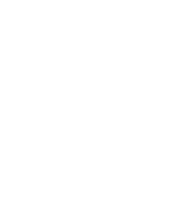 feature-item-1