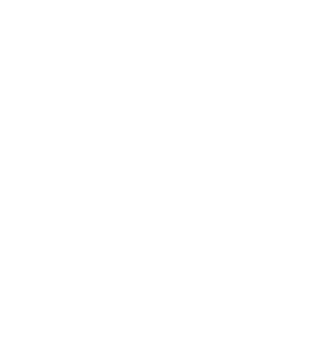 feature-item-2