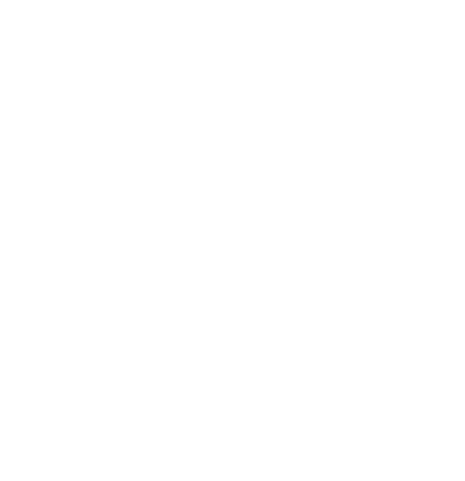 feature-item-3