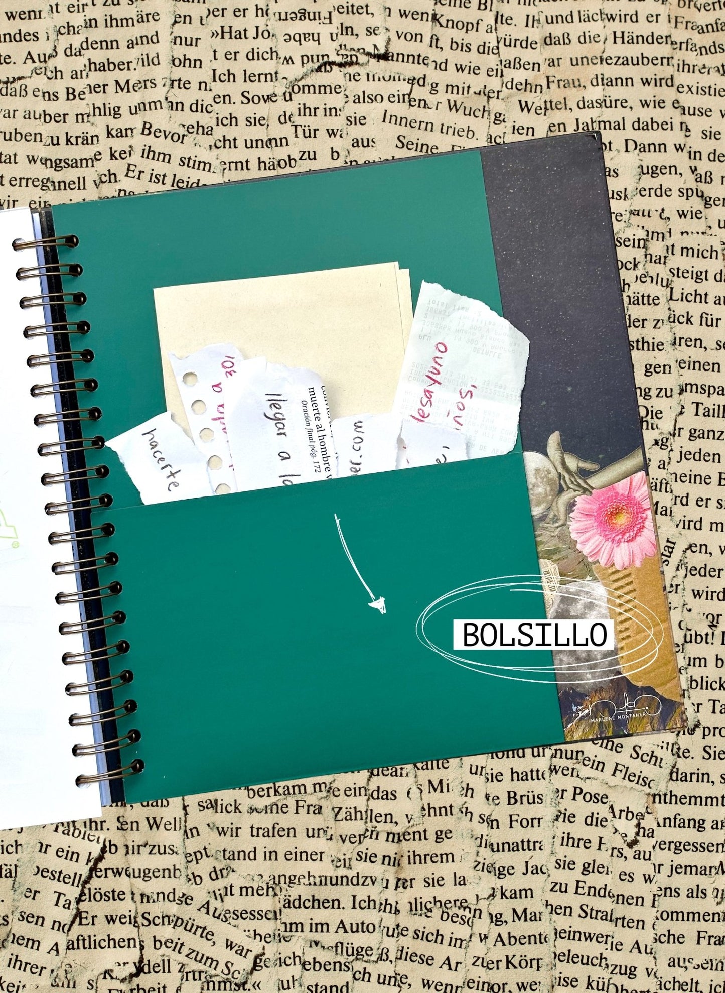 El Mejor Plan(ner) 2026 - Marlene Montaner