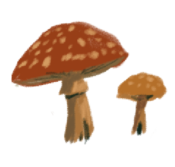 feature-item-4