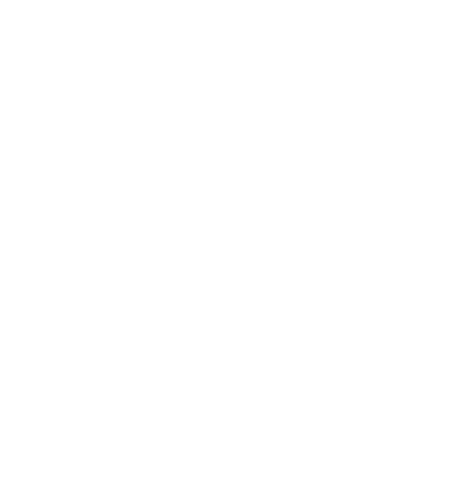 feature-item-4