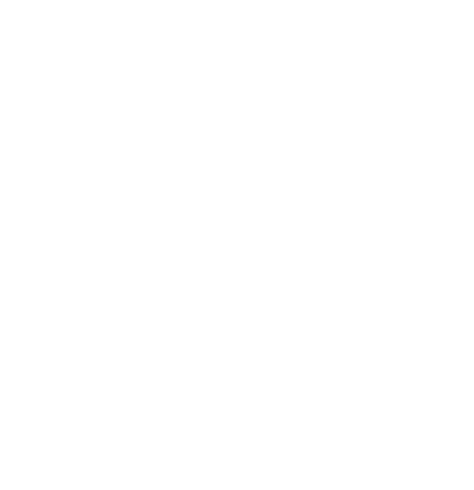 feature-item-6